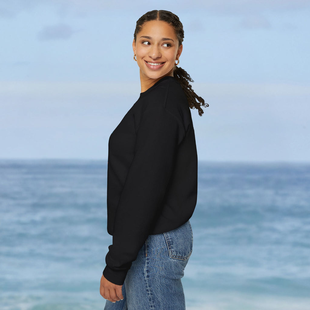 Aruba Caribbean University Sweatshirt