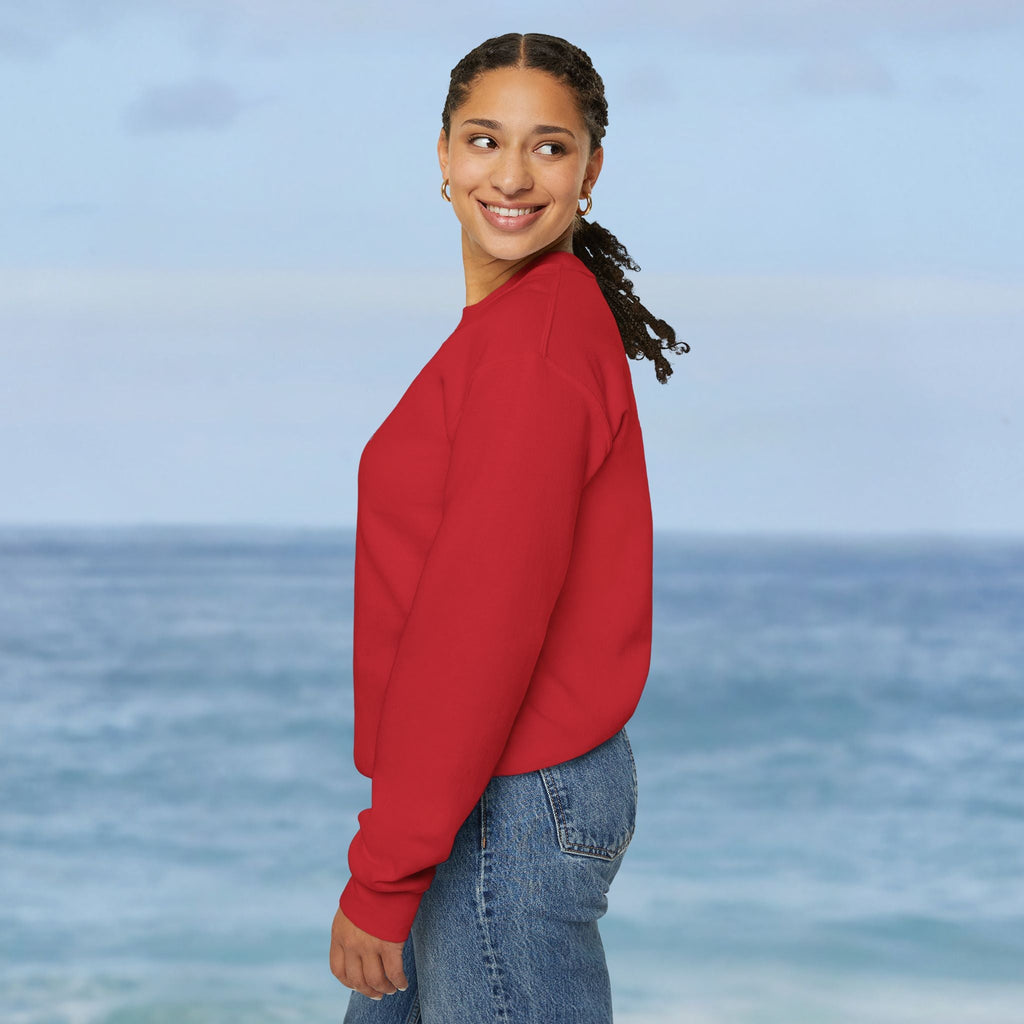 Aruba Caribbean University Sweatshirt
