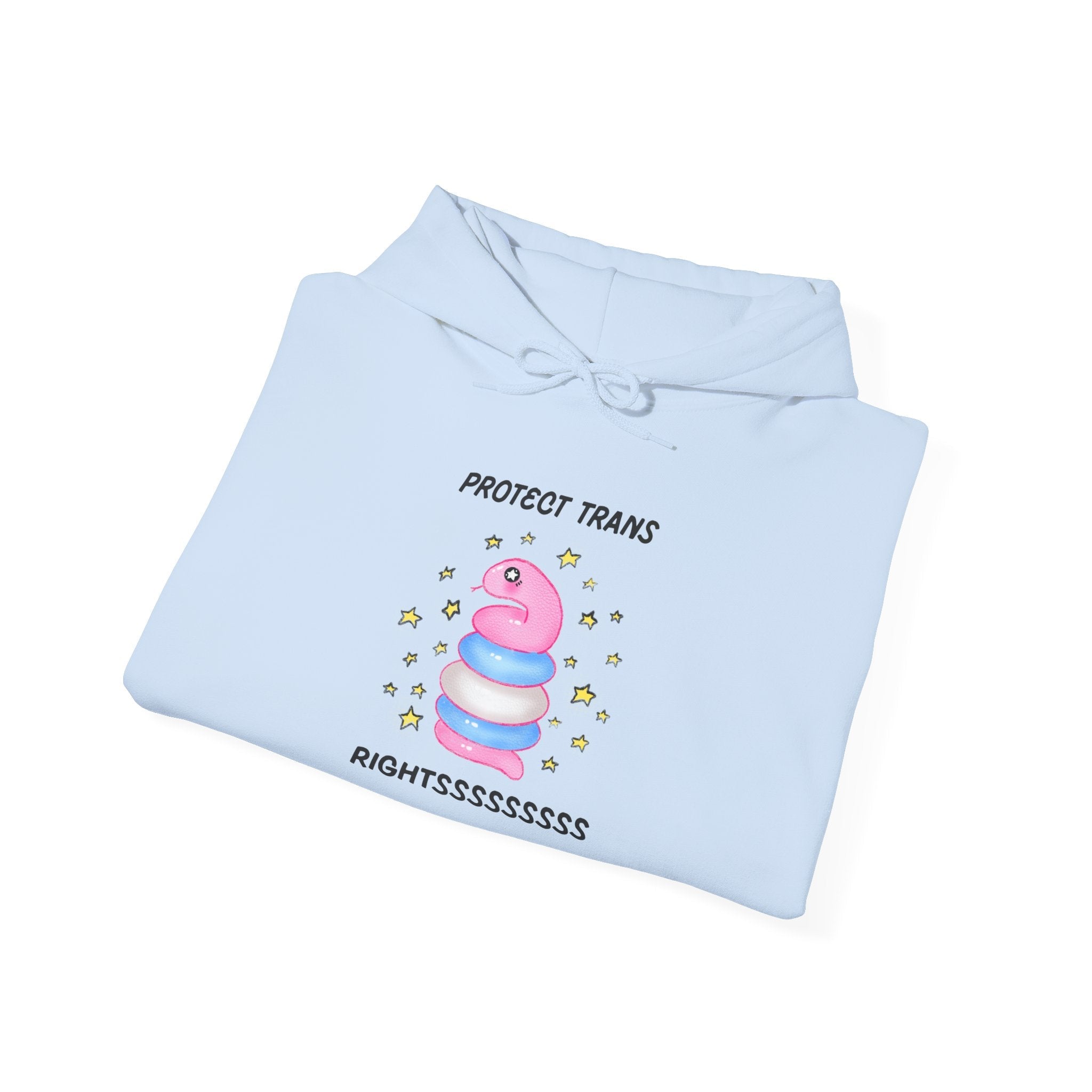 🐍 Protect Trans Rightssss Hoodie 🐍