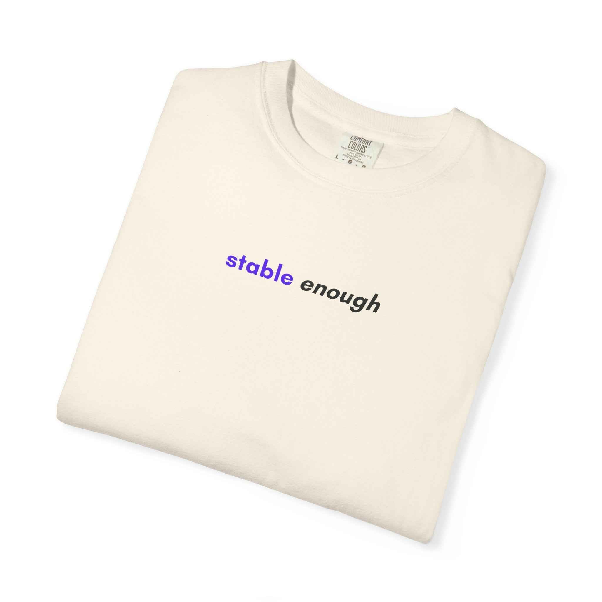 Stable Enough Epilepsy Awareness T-Shirt | Minimal Awareness Tee