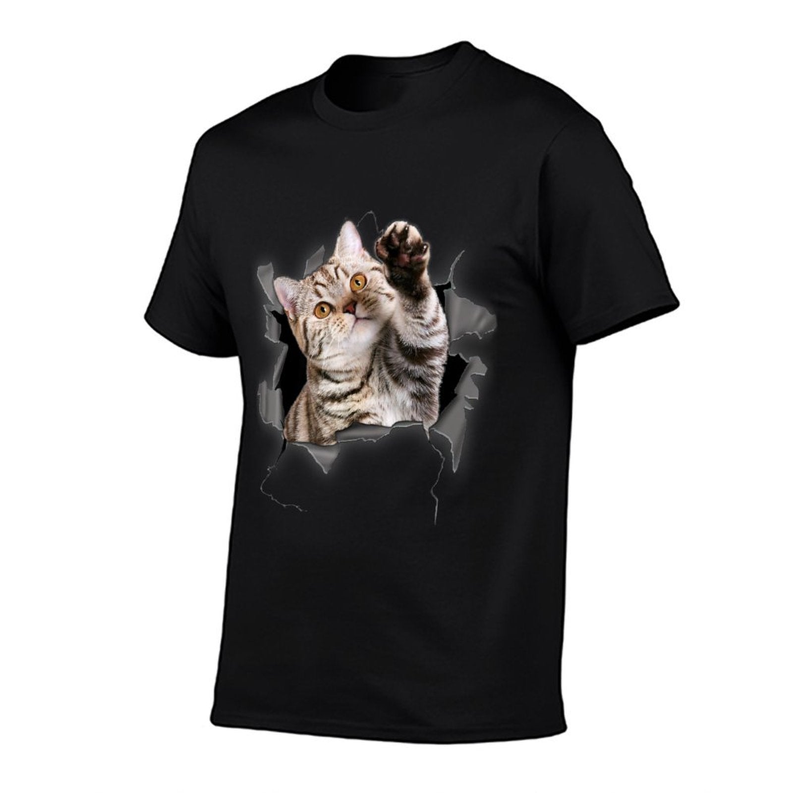 Cute Torn Cloth Funny for Cat Lover  Cat Mom  Affordable Price T-Shirt