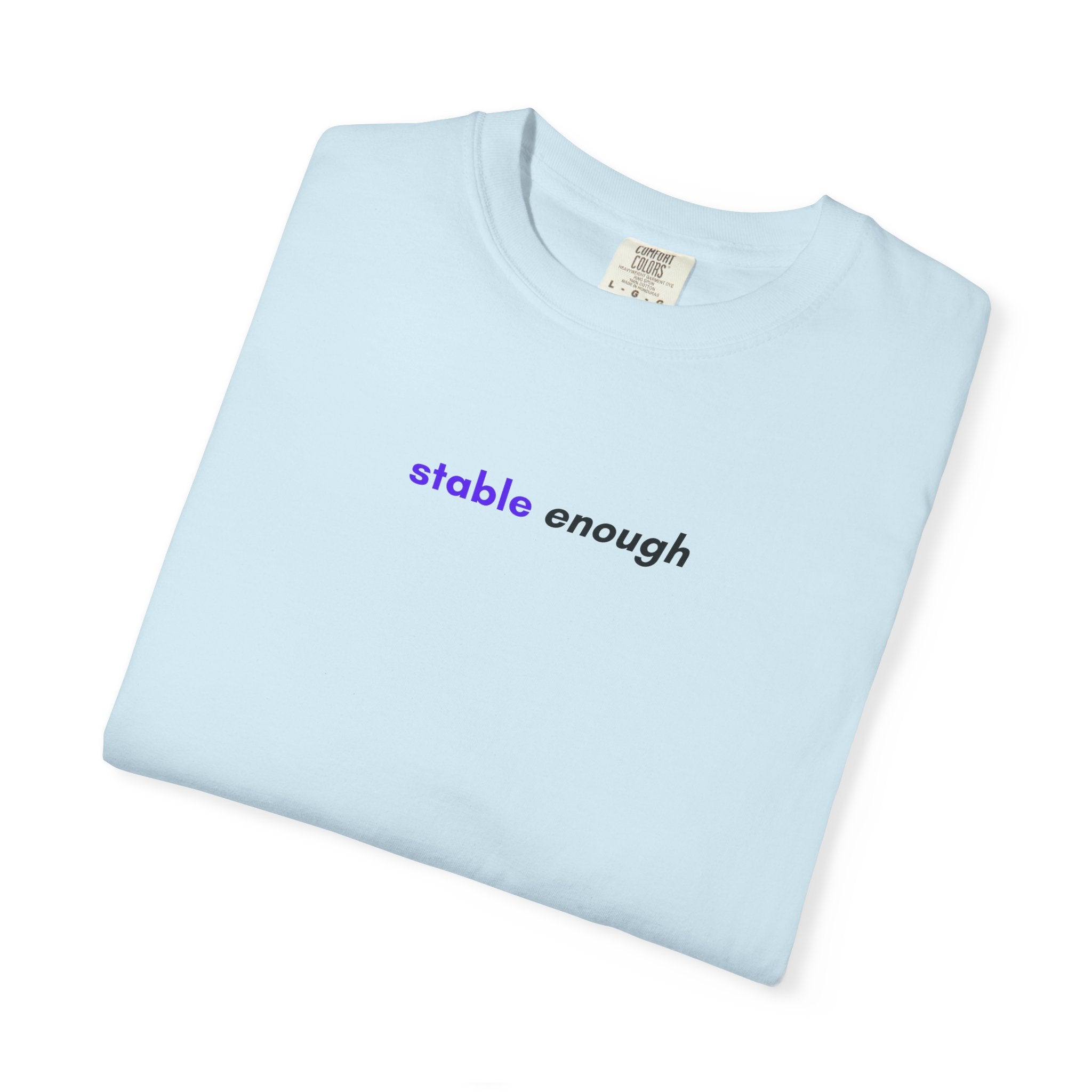 Stable Enough Epilepsy Awareness T-Shirt | Minimal Awareness Tee