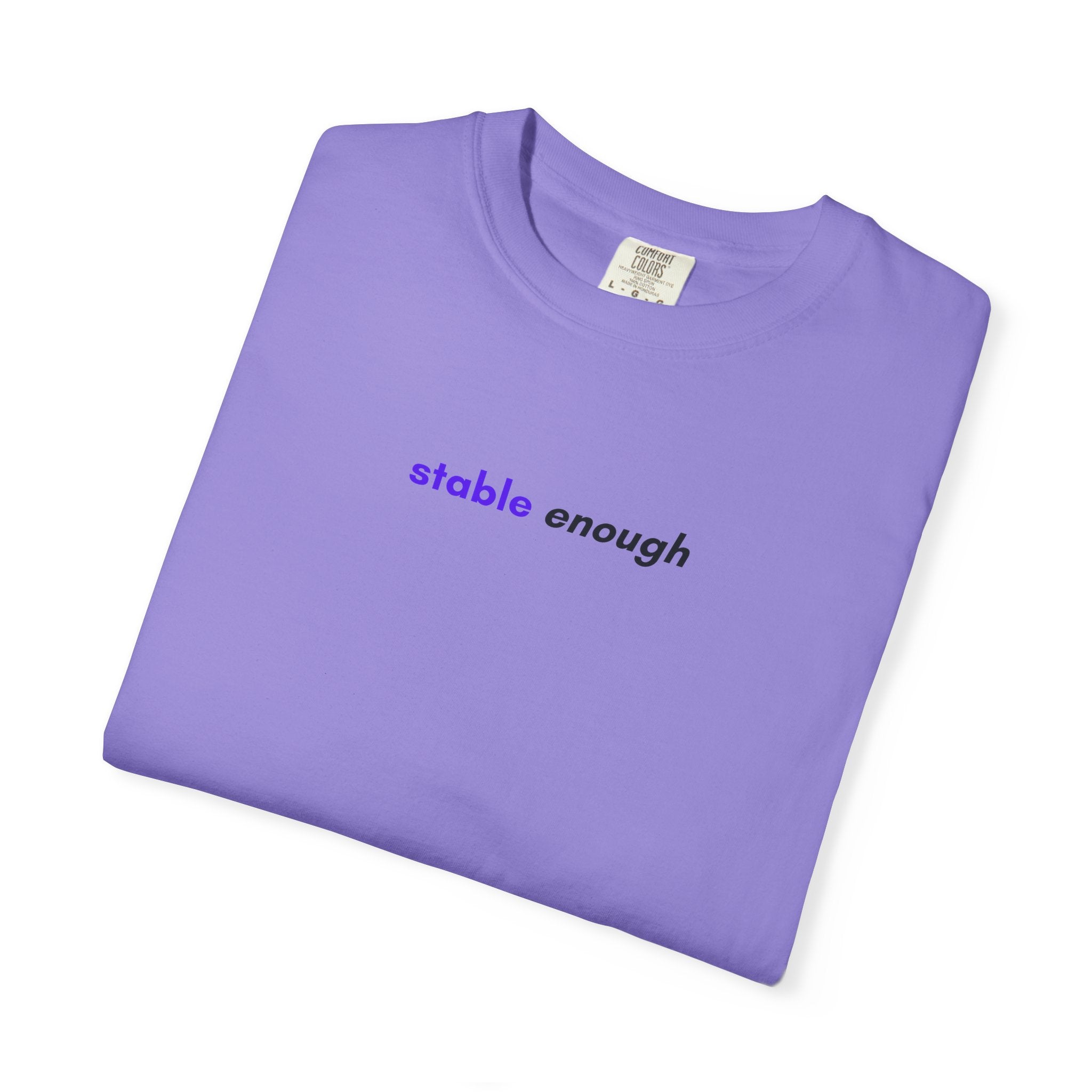 Stable Enough Epilepsy Awareness T-Shirt | Minimal Awareness Tee