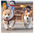 Riding clothes pet clothes