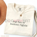 Comfort Colors "Big Fan of Human Rights" T-Shirt – Equality Graphic Tee