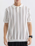 Men's Plus Size Striped Casual Fit Polo