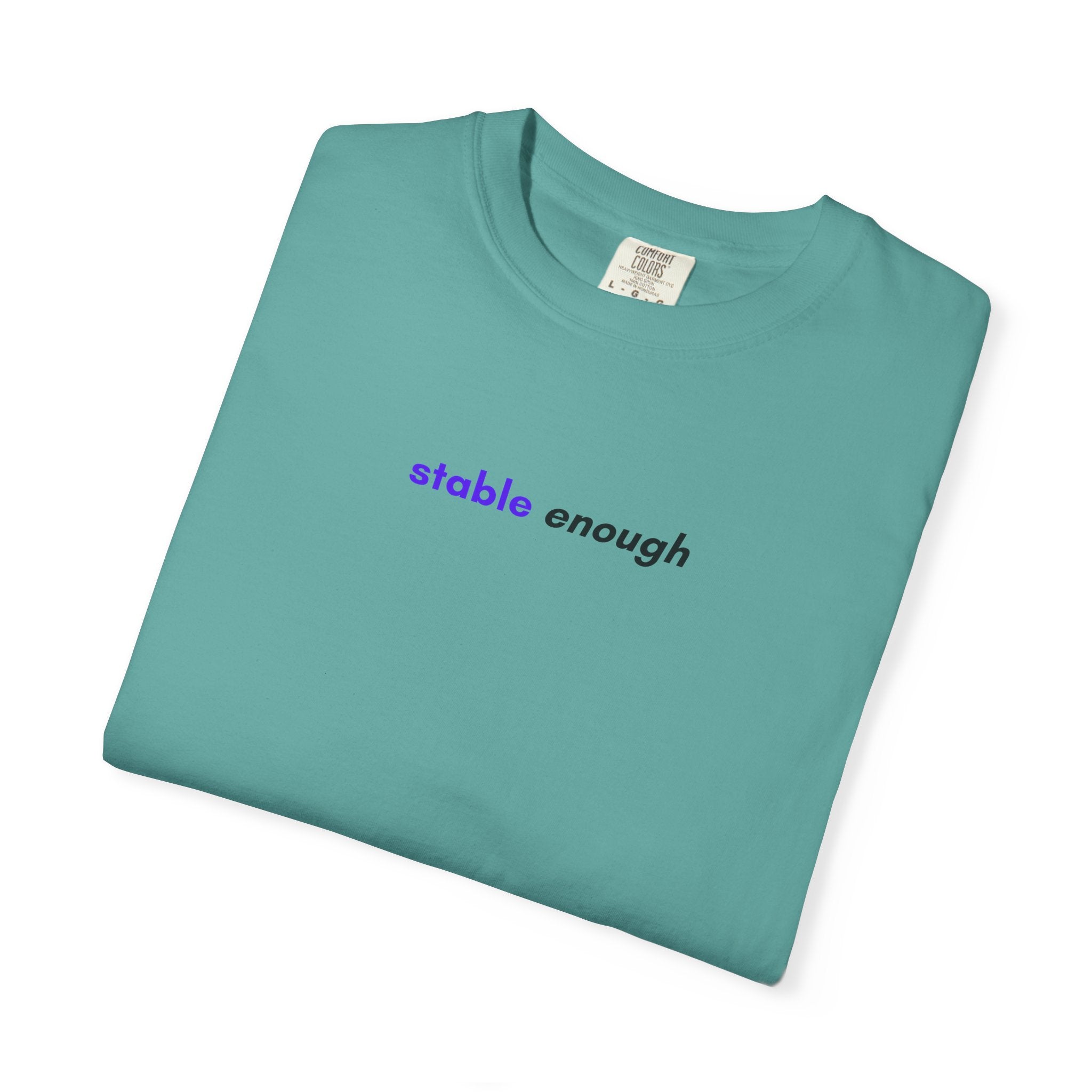 Stable Enough Epilepsy Awareness T-Shirt | Minimal Awareness Tee