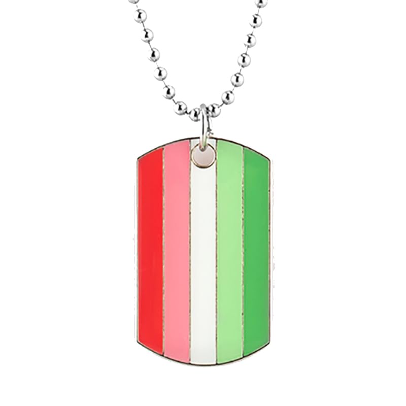 COLDDOX Progress Pride Dog Tags Pendant Rainbow Pride Gift LGBT Necklace