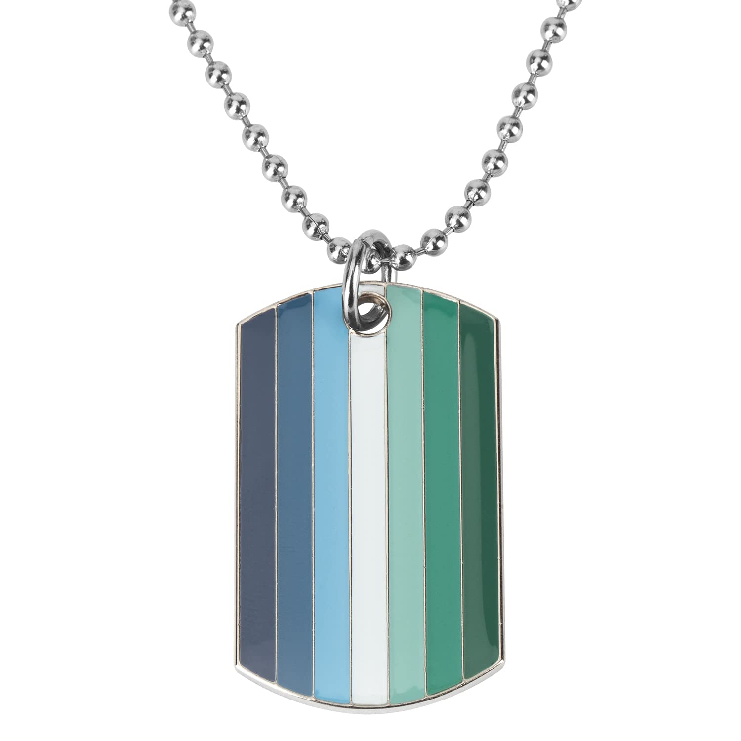 COLDDOX Progress Pride Dog Tags Pendant Rainbow Pride Gift LGBT Necklace