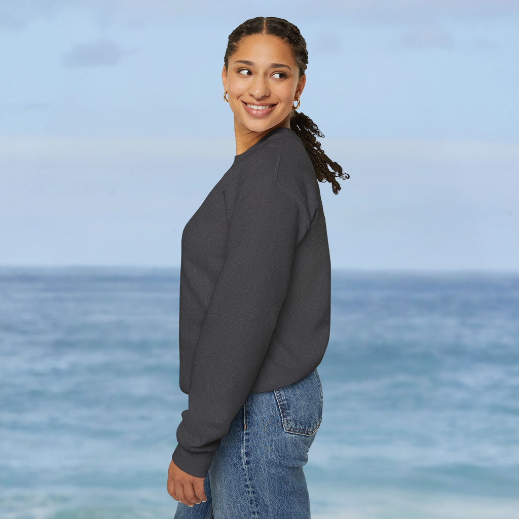 Aruba Caribbean University Sweatshirt