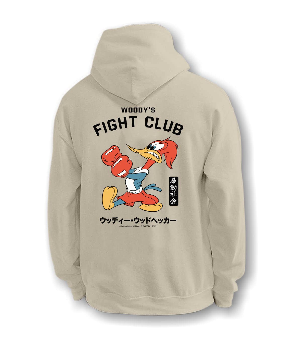 Riot Society Men's Graphic or Embroidered Hoodie Hooded Sweatshirt