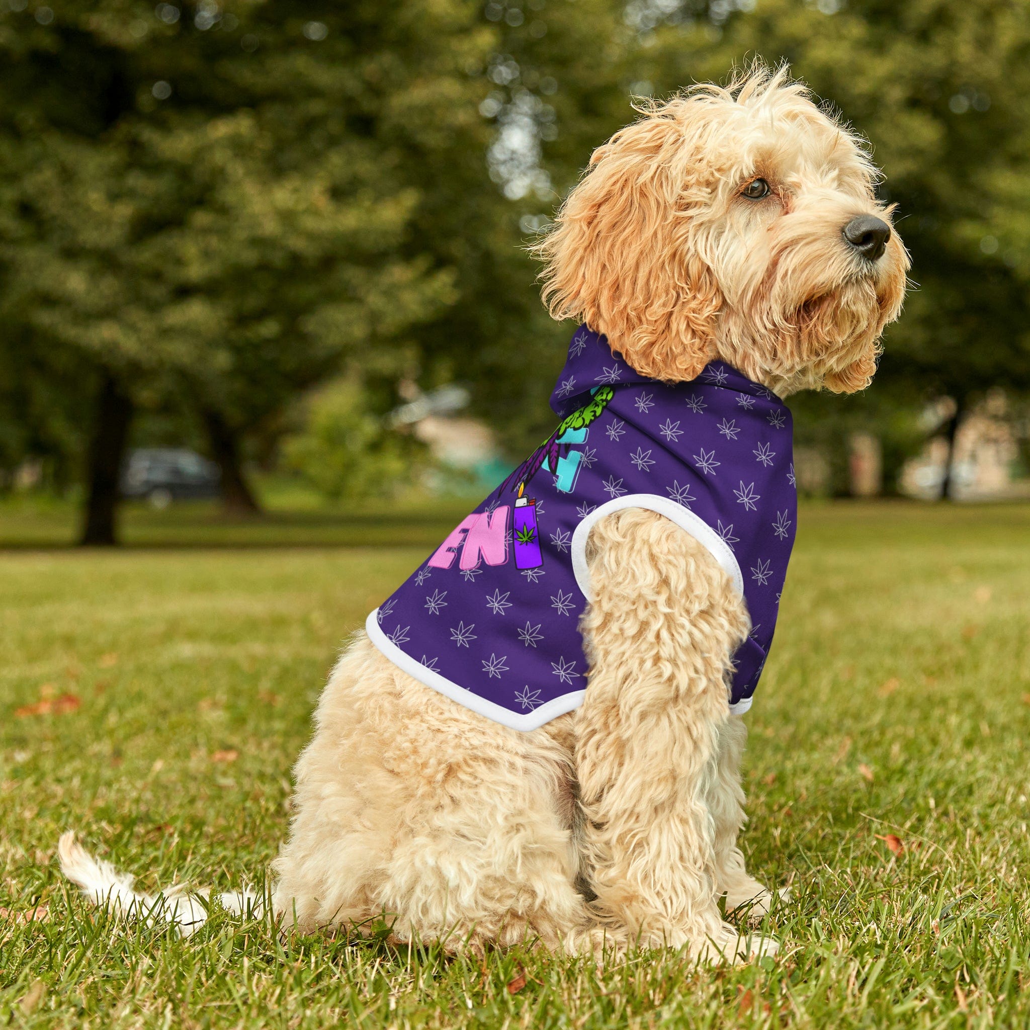 Make It Happen Cannabis Pet Hoodie