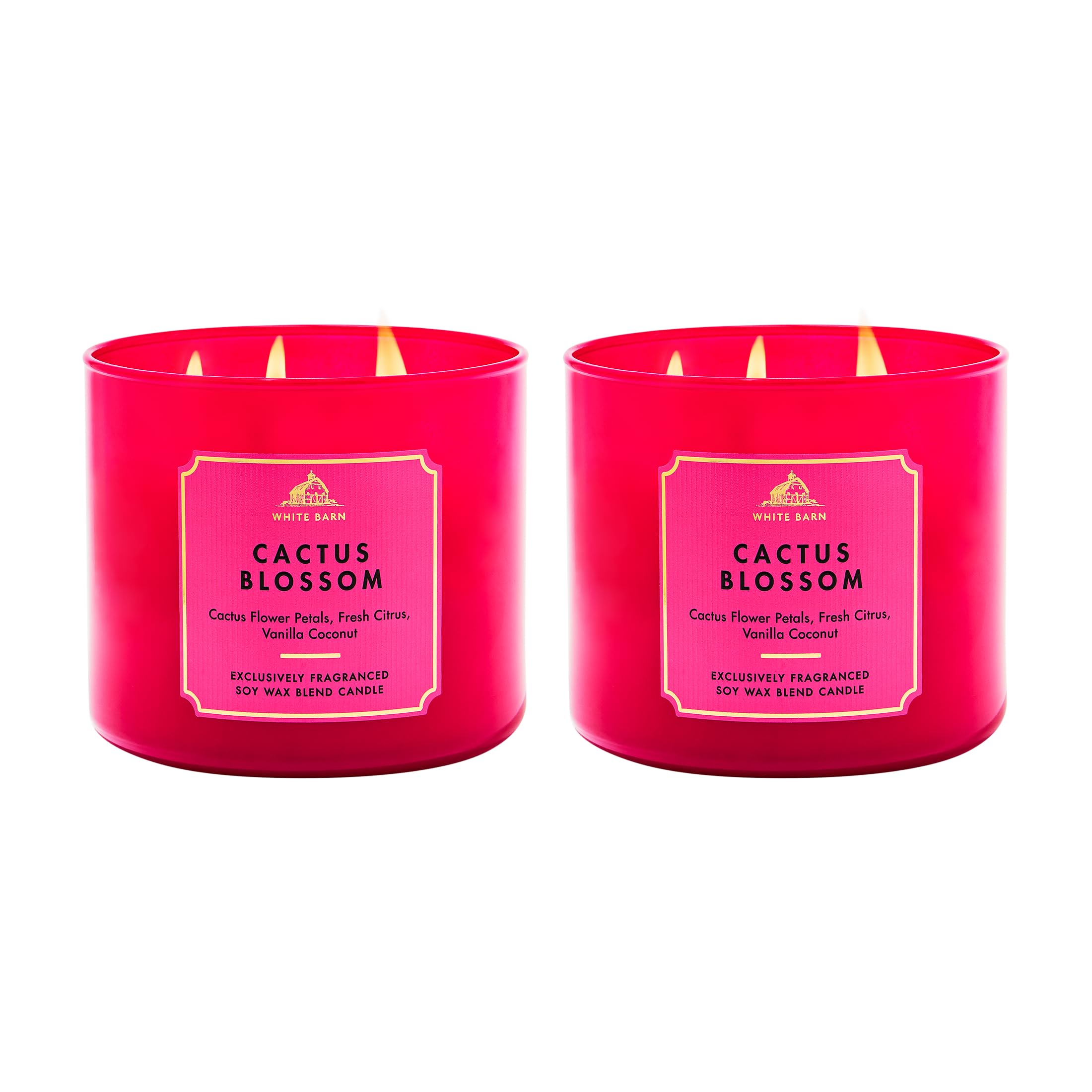 Bath & Body Works 3-Wick Candle, Long-Lasting Burn Up to 45 Hours, Exclusively Fragranced Soy Wax Blend