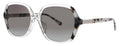 Kate Spade Ellery/F/S Sunglasses