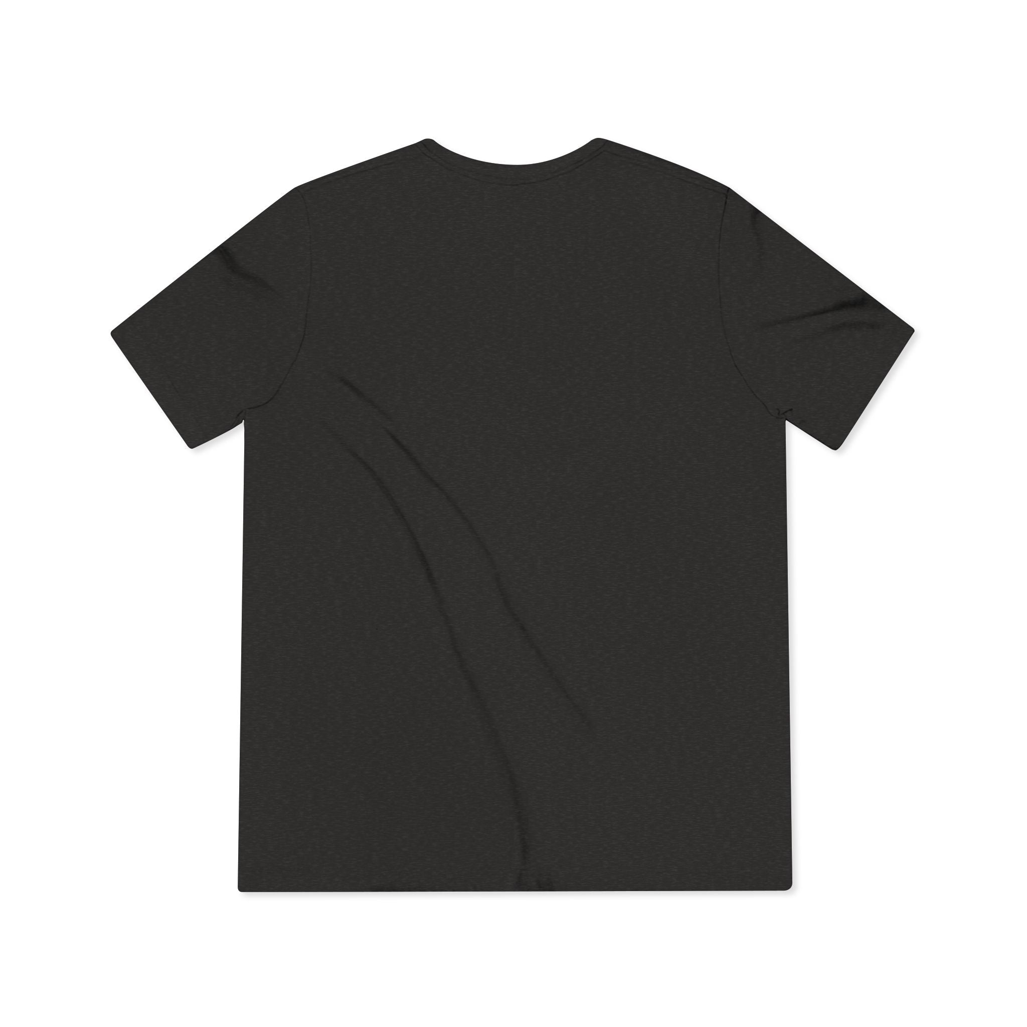 LCC Unisex Triblend Tee