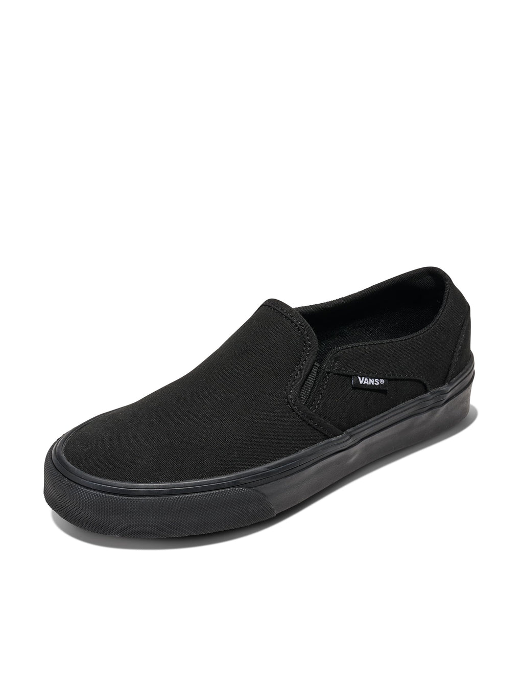 Vans Women's Asher Adult Low Top Sneakers