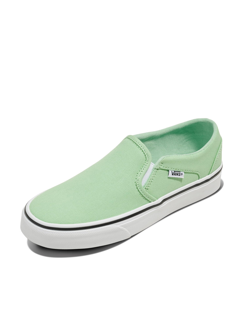 Vans Women's Asher Adult Low Top Sneakers