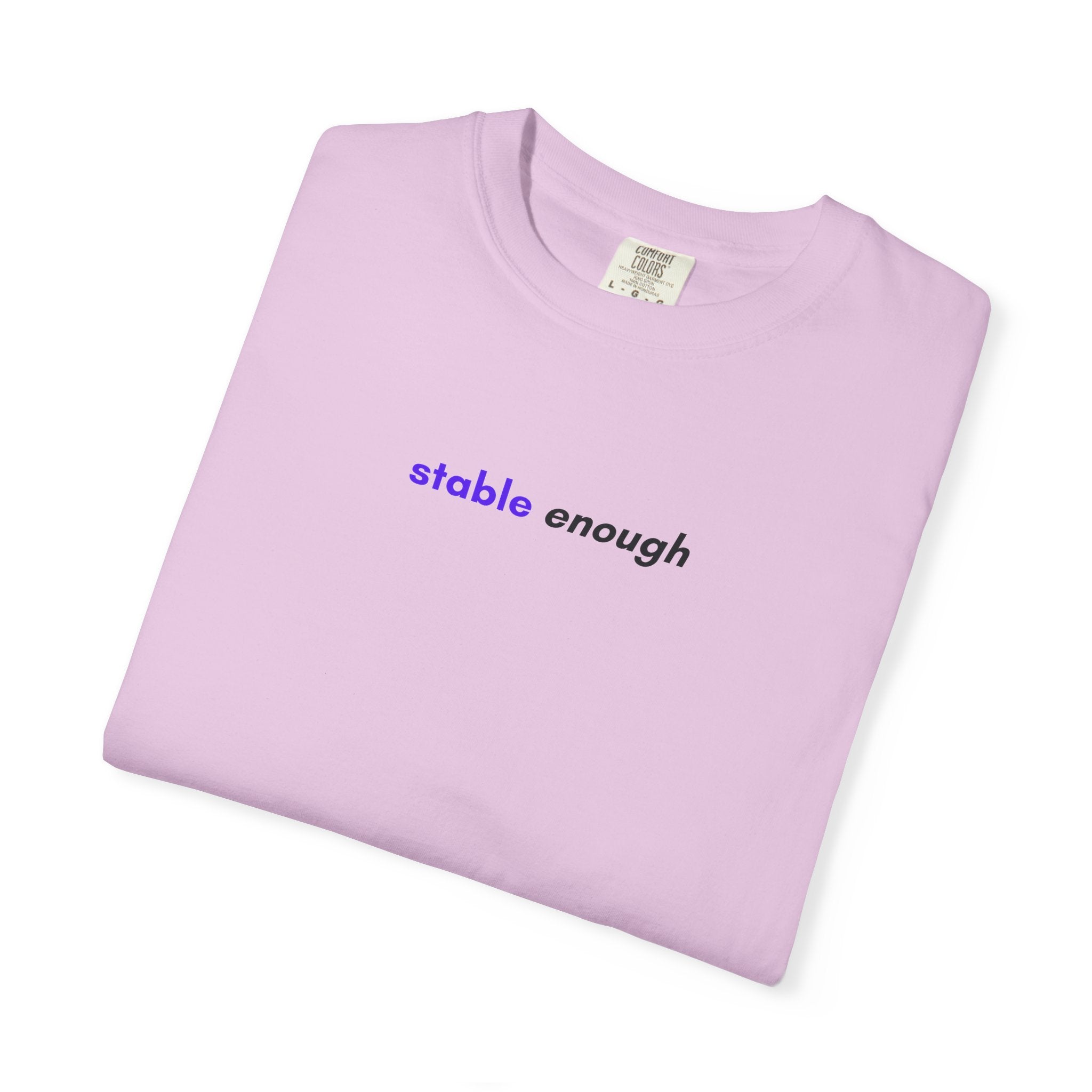 Stable Enough Epilepsy Awareness T-Shirt | Minimal Awareness Tee