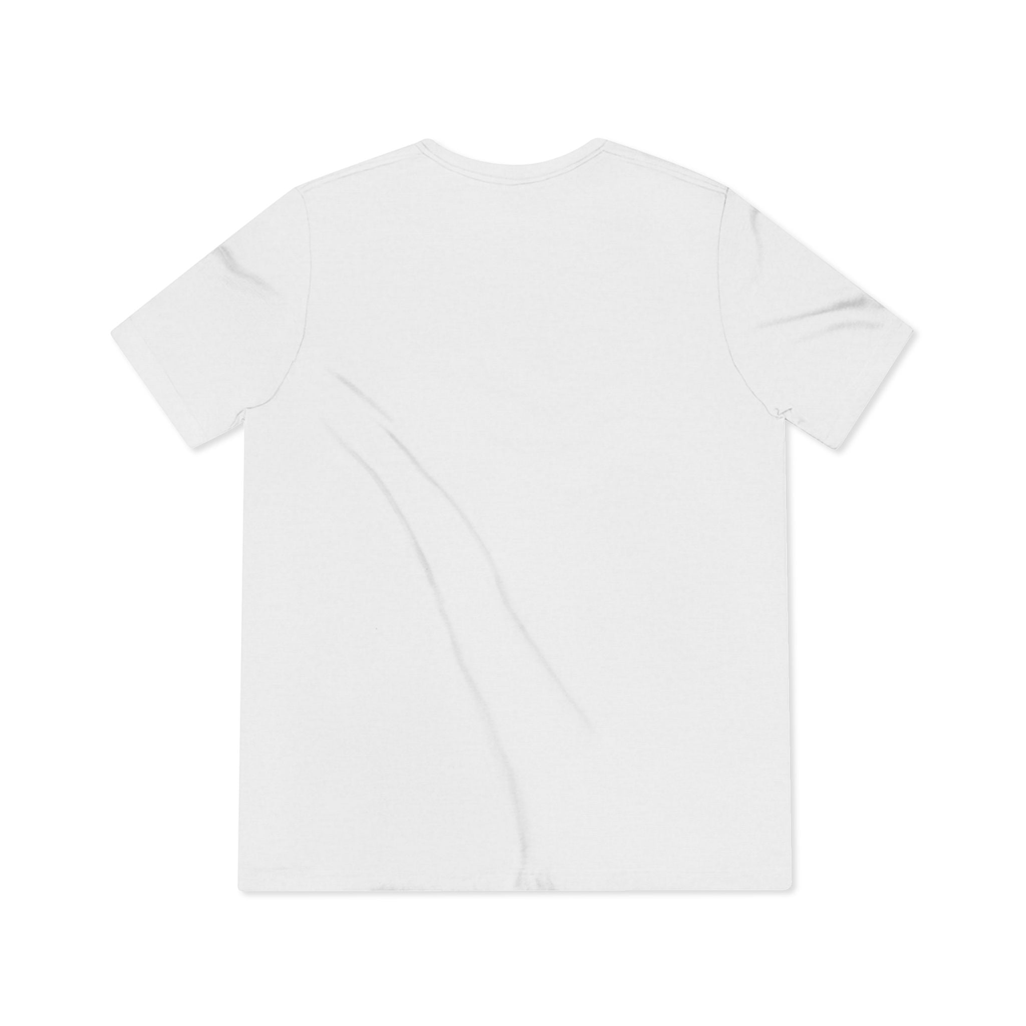 LCC Unisex Triblend Tee