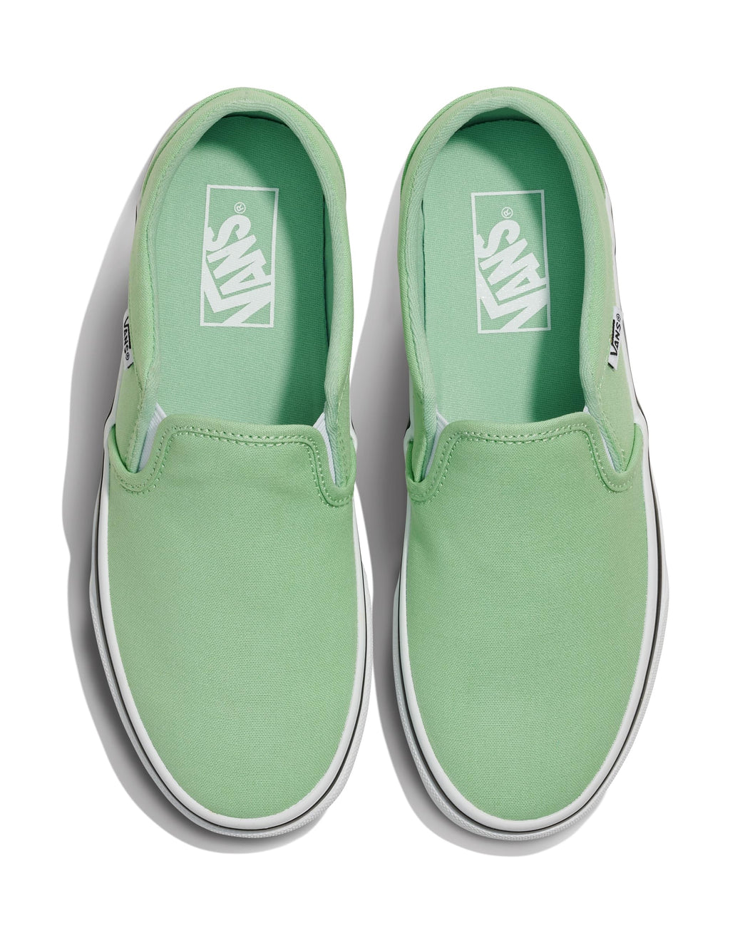 Vans Women's Asher Adult Low Top Sneakers