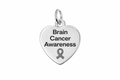 Brain Cancer Awareness Heart Charms