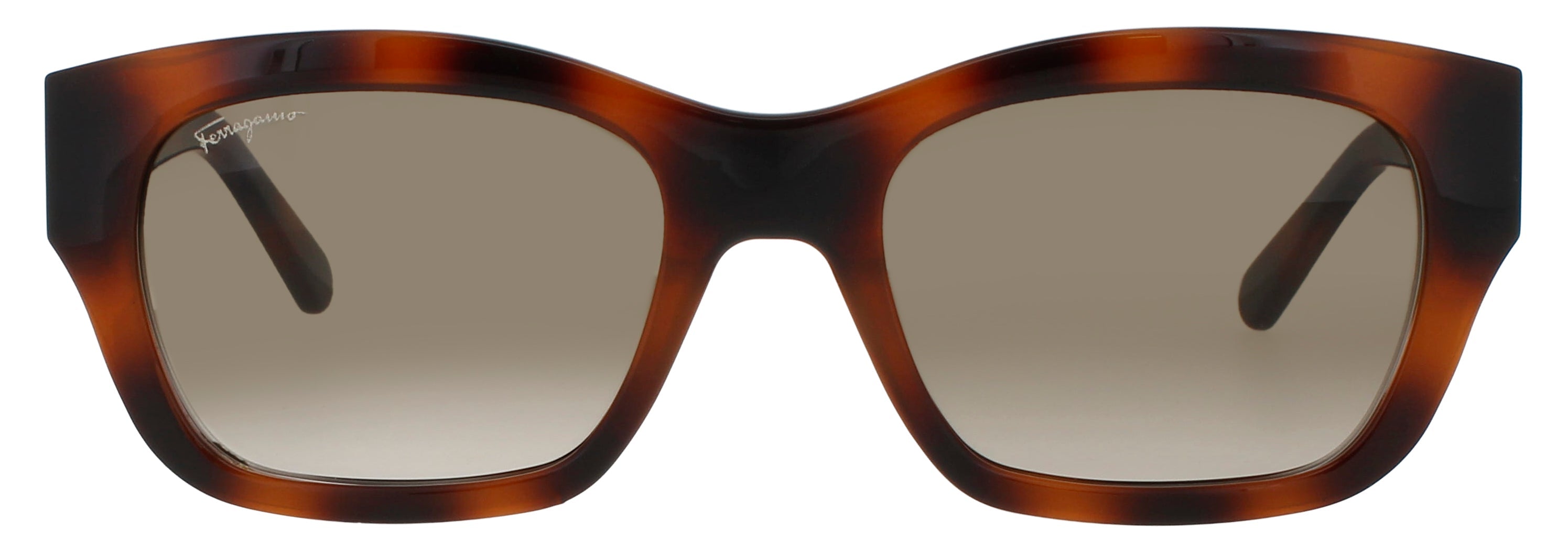 Salvatore Ferragamo Sf1012s Sunglasses