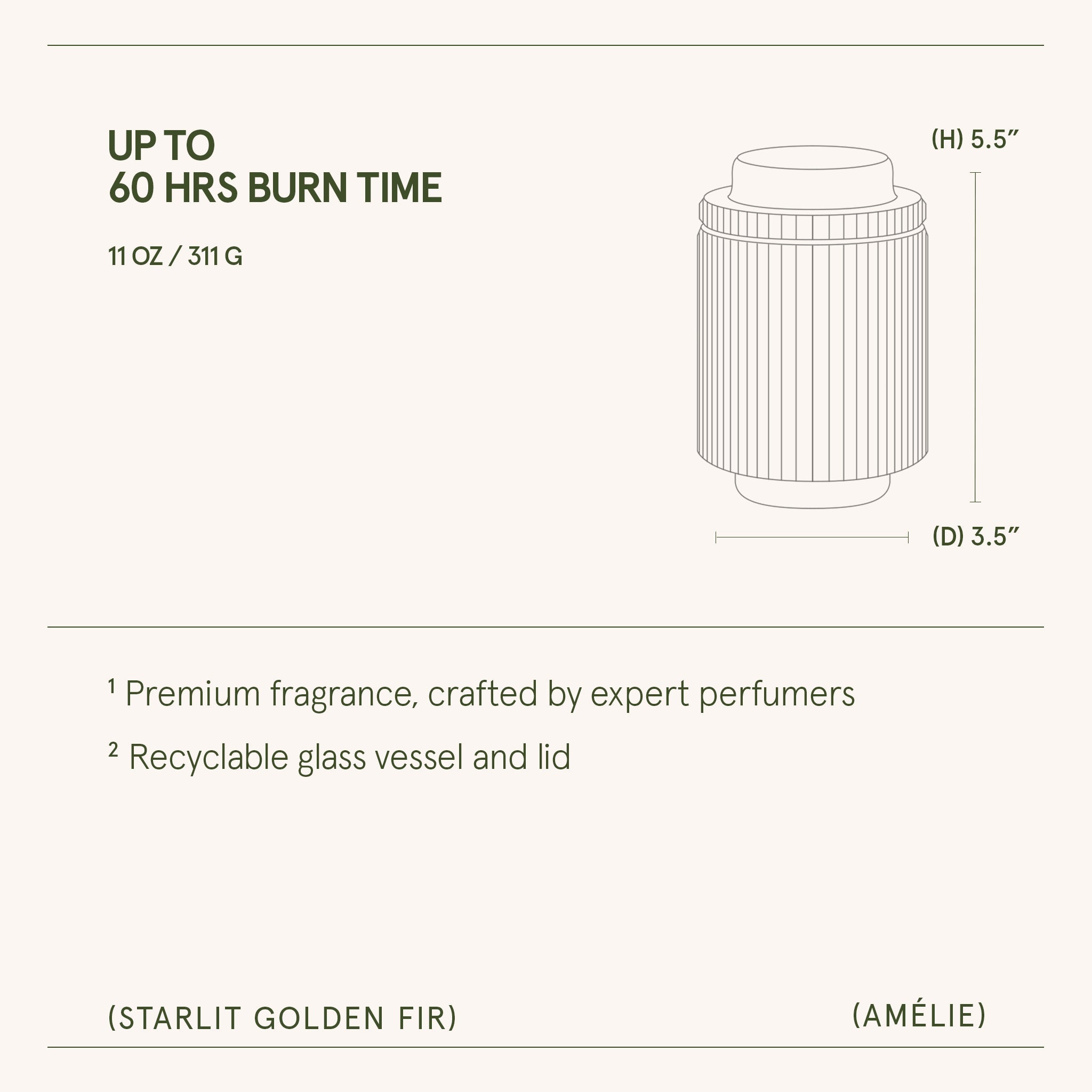 Amélie – Starlit Golden Fir 11oz Candle
