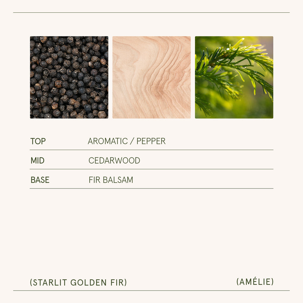 Amélie – Starlit Golden Fir 3oz Candle