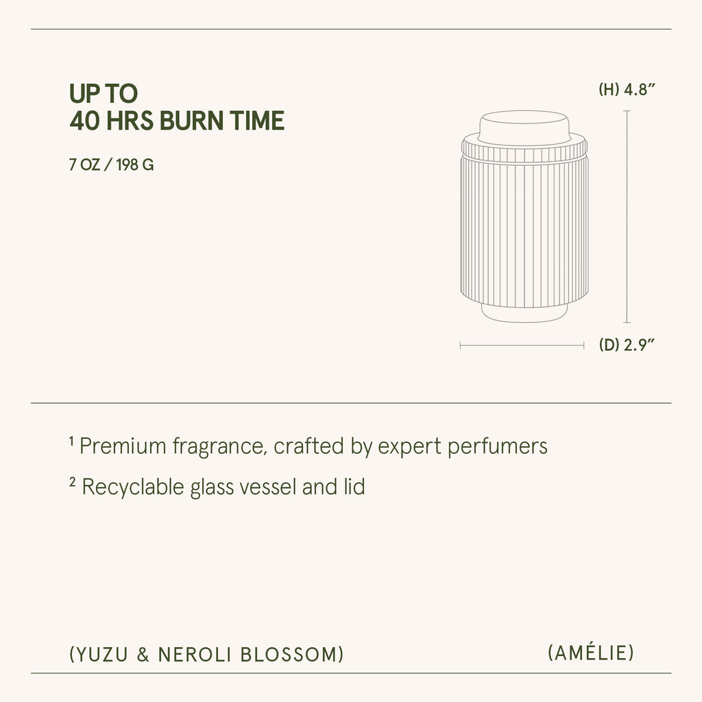 Amélie – Yuzu & Neroli Blossom Candle