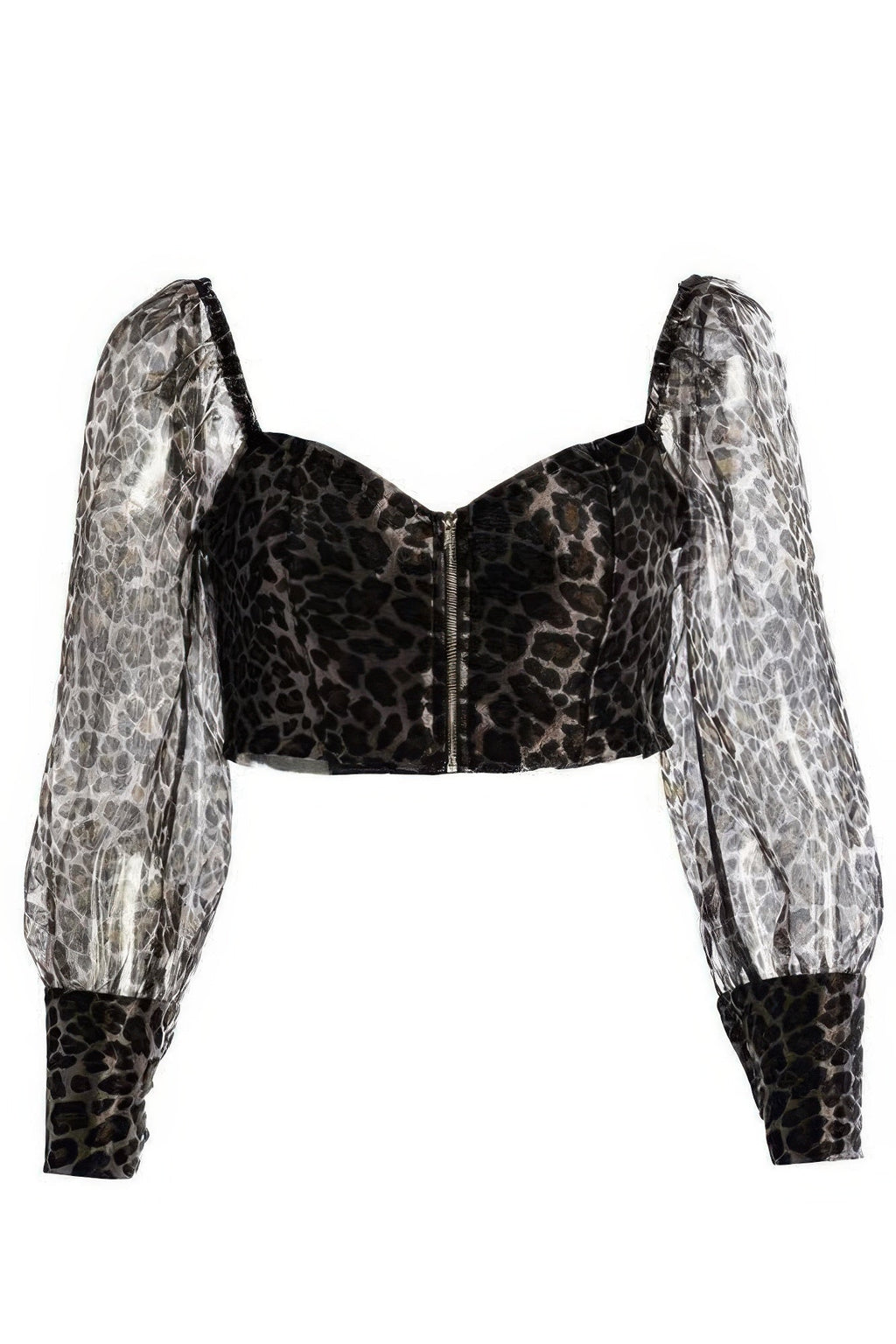 Sheer Leopard Print Crop Top