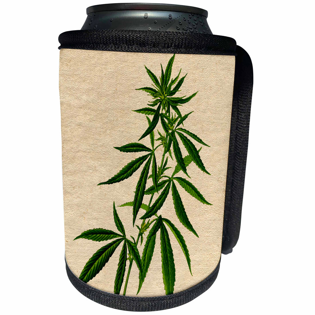 3dRose Cassie Peters Cannabis - Cannabis Vintage - Can Cooler Bottle Wrap (cc_314191)