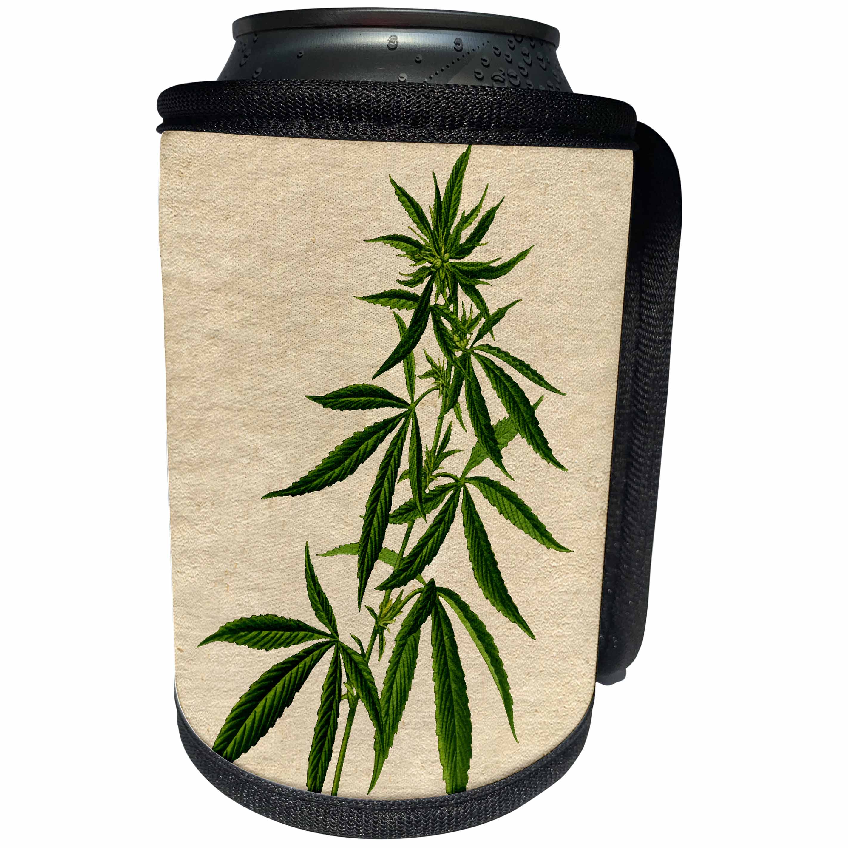 3dRose Cassie Peters Cannabis - Cannabis Vintage - Can Cooler Bottle Wrap (cc_314191)