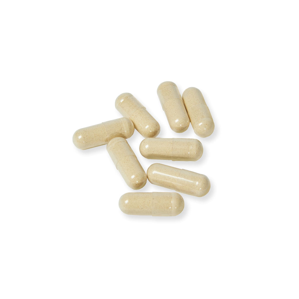 Aloe Macroclada Stem Cell Activation Capsules and Powder