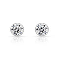 ER201W B.Tiff 2 ct Solitaire Stud Earrings