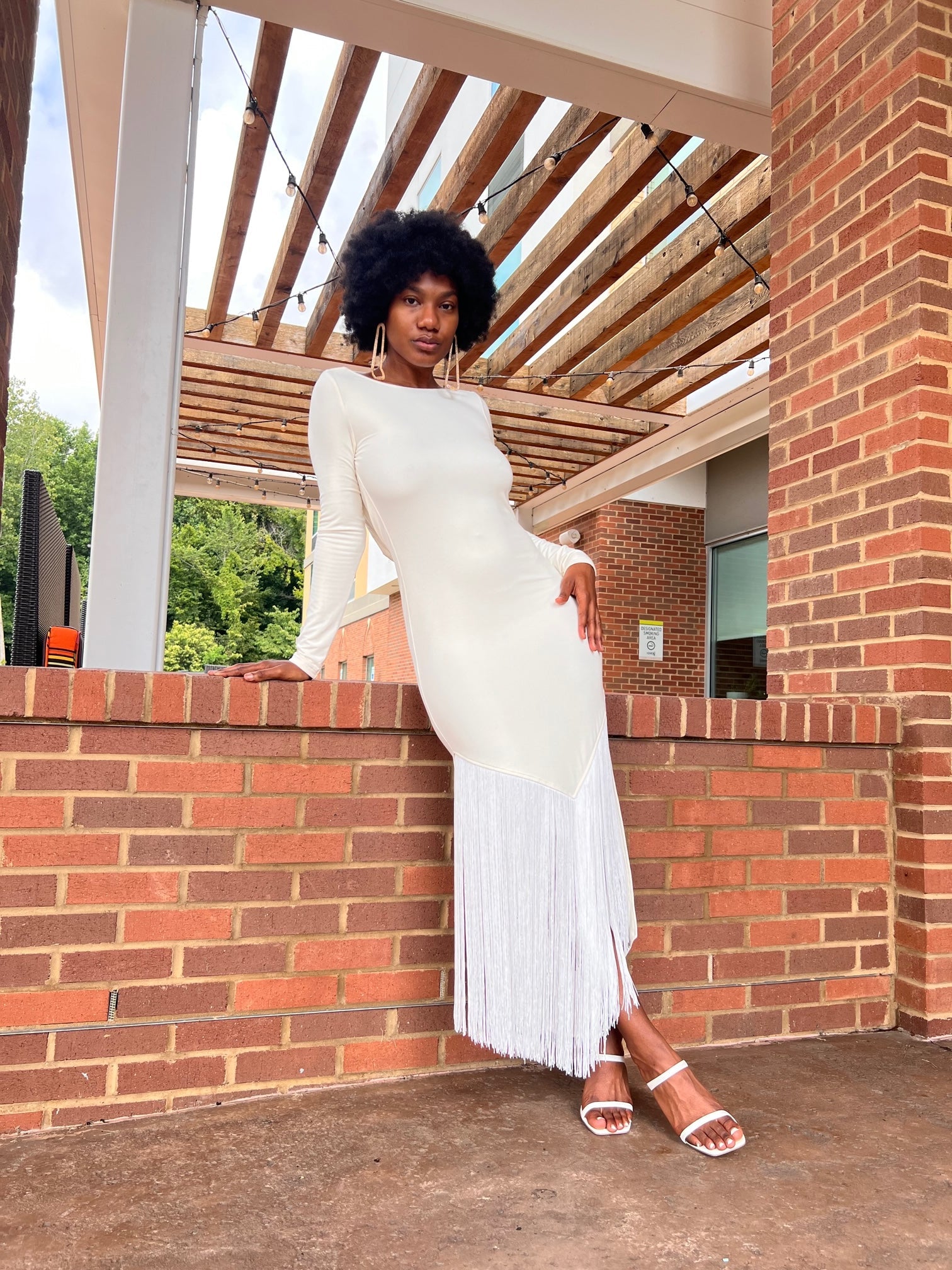 Zanobia Dress