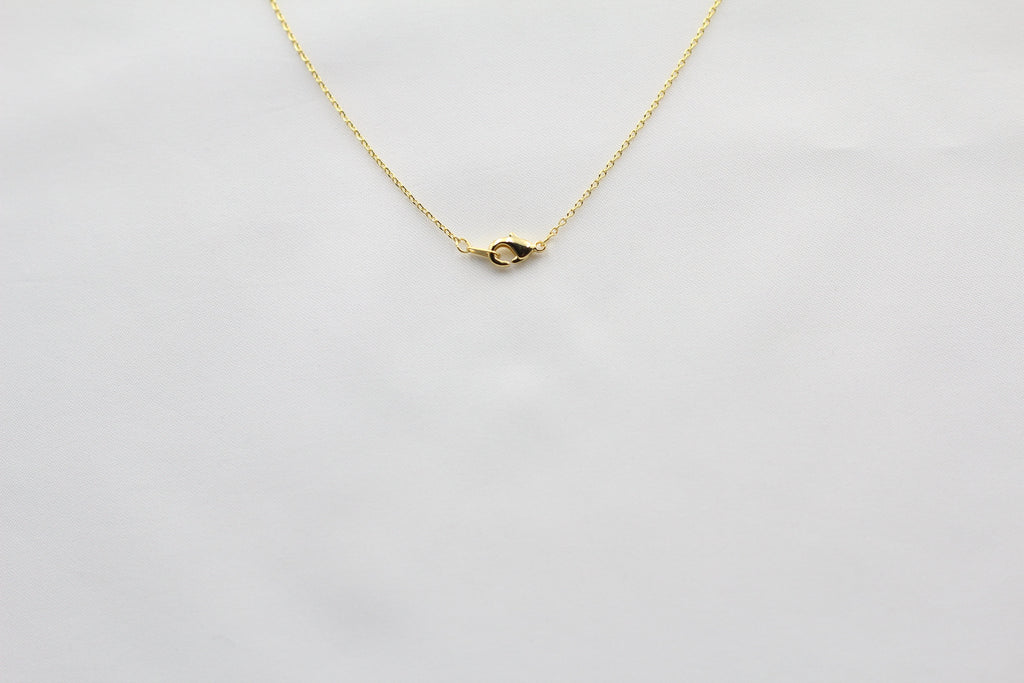 Texas State Map Necklace - Matte Polish