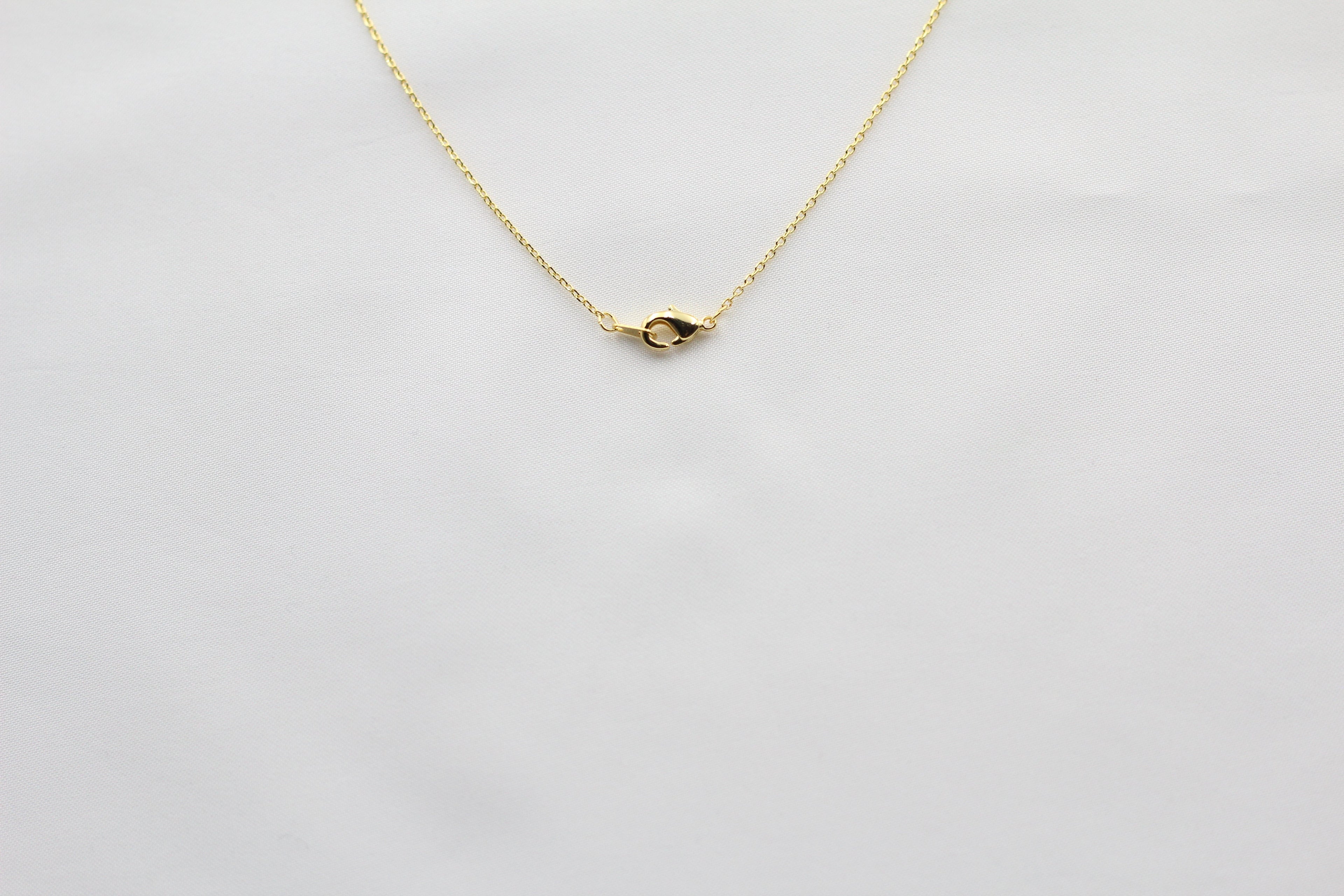 Texas State Map Necklace - Matte Polish