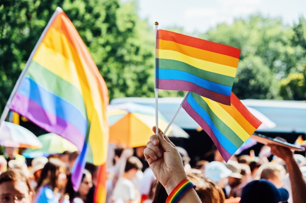 Large Rainbow Flags on a Stick
