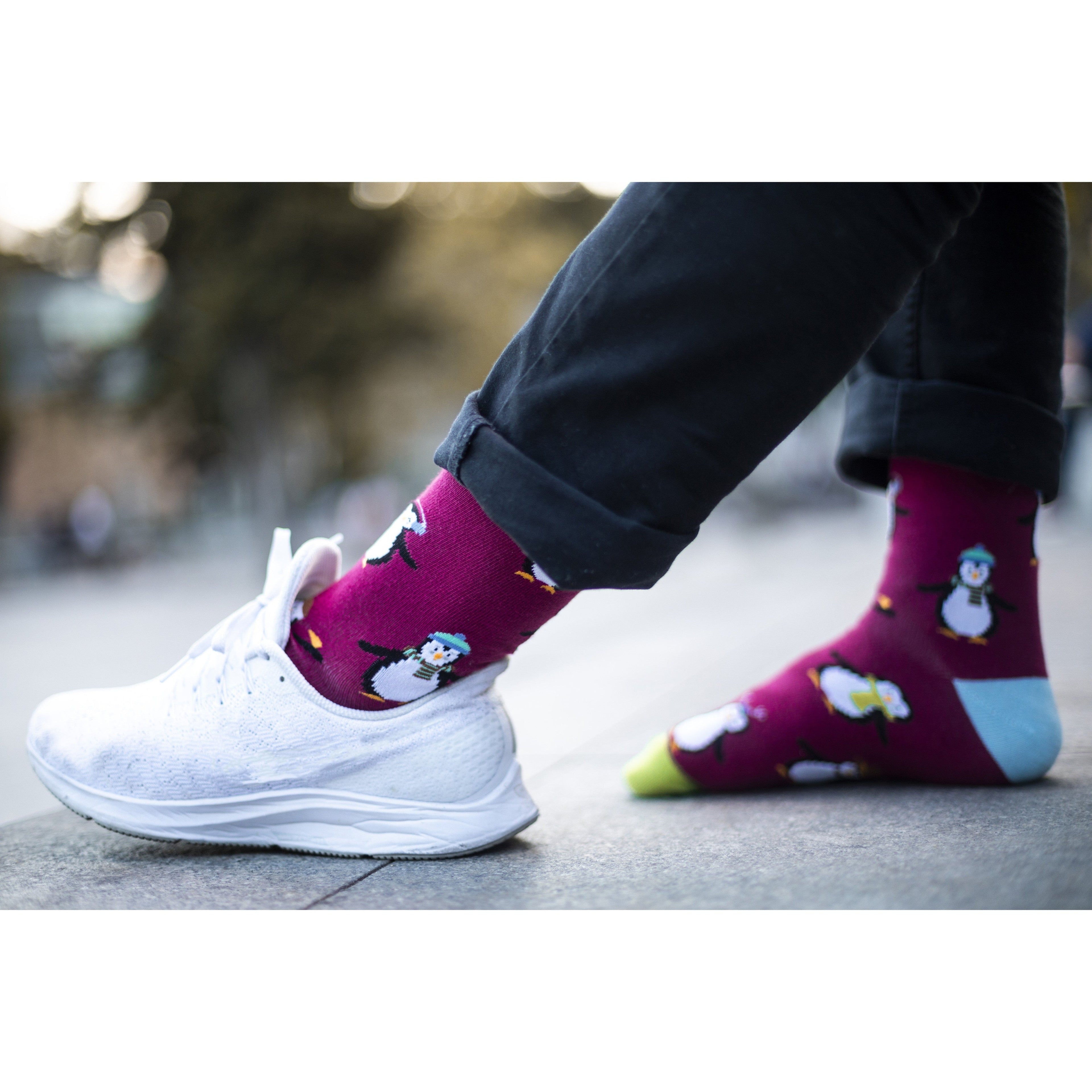 Men's Animal Planet Socks
