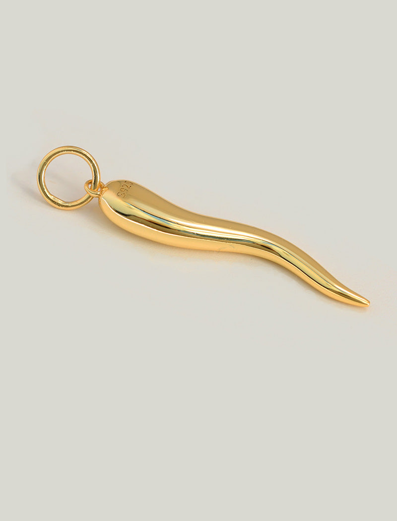 ITALIAN HORN Charm Pendant Only