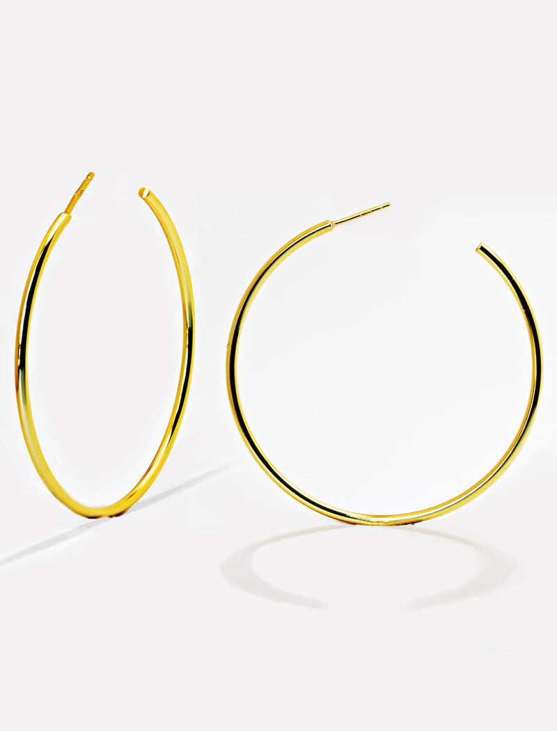 PERFECT Hoop Earrings