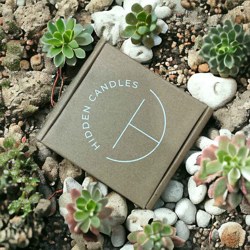 Beach Bungalow Candle 10.6 oz – Marine Air, Driftwood & White Tea
