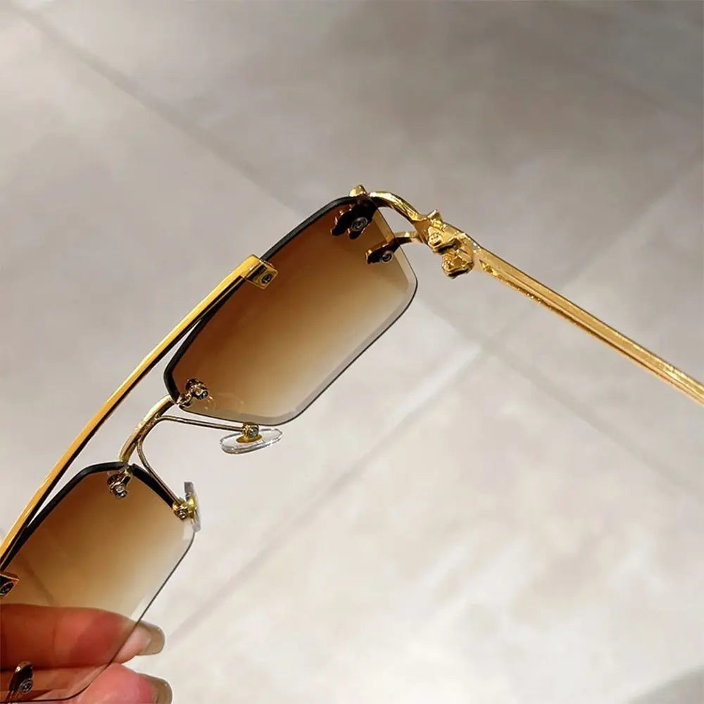 Cheetah Sun Glasses Shades Double Bridge Gradient UV400 Eyewear