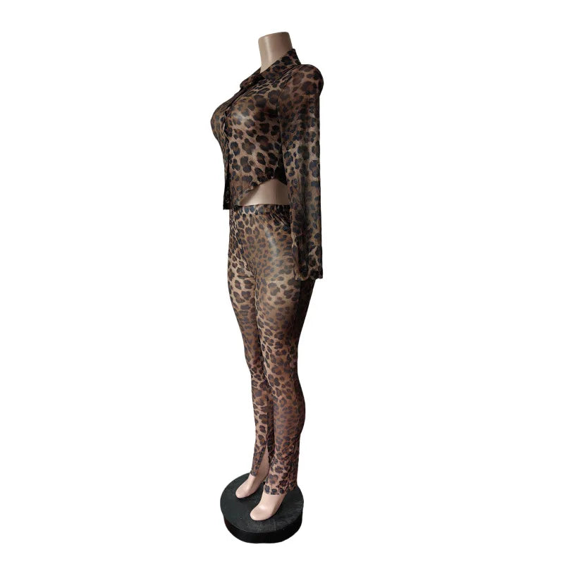 Leopard Print Mesh Bandage Set