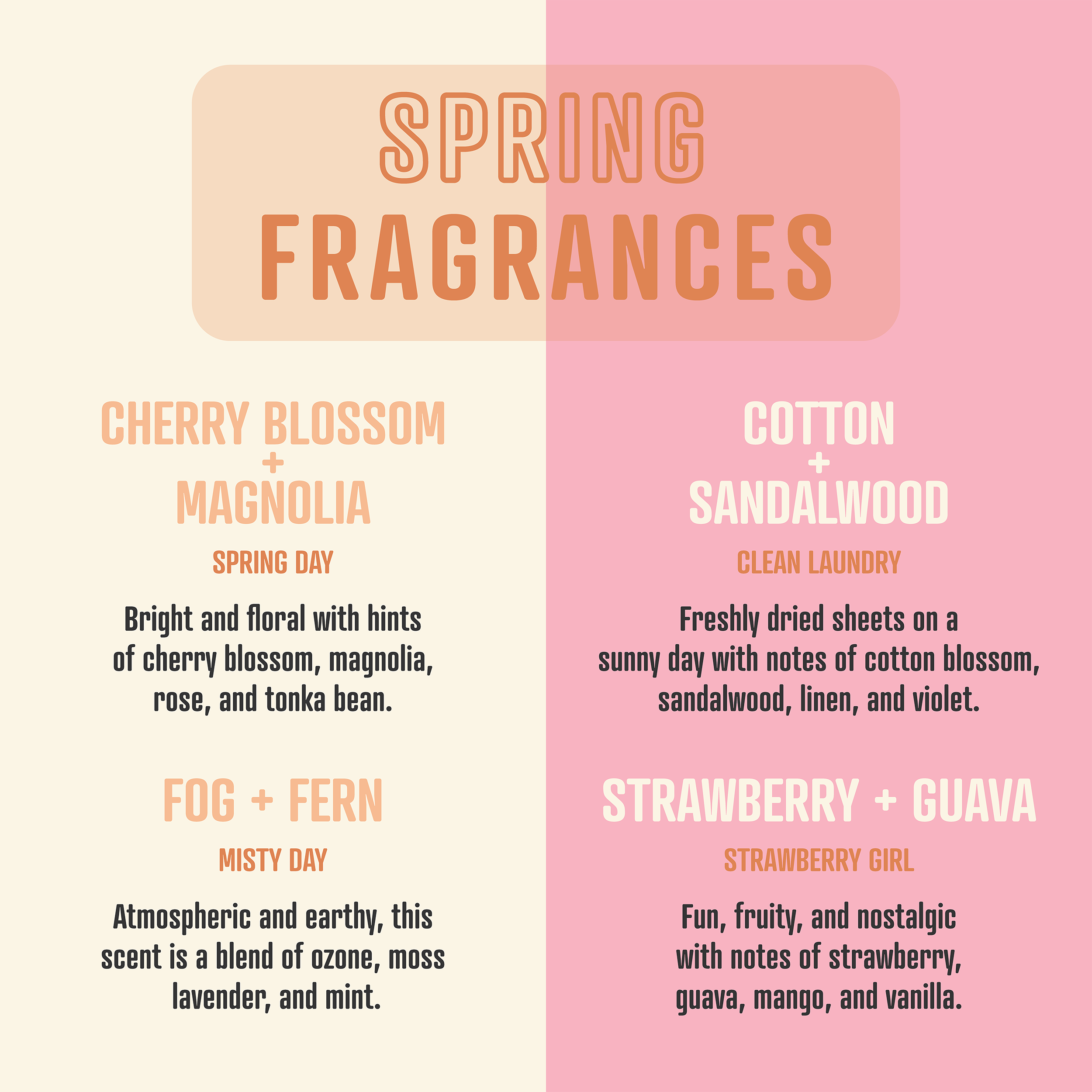 Smells Like Aubrey Plaza | Soy Wax Scented Candle