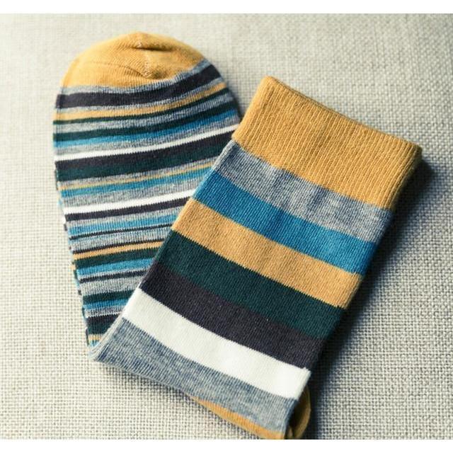 Stripey Casual Collection Socks - 5 Colors