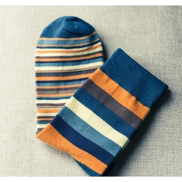 Stripey Casual Collection Socks - 5 Colors