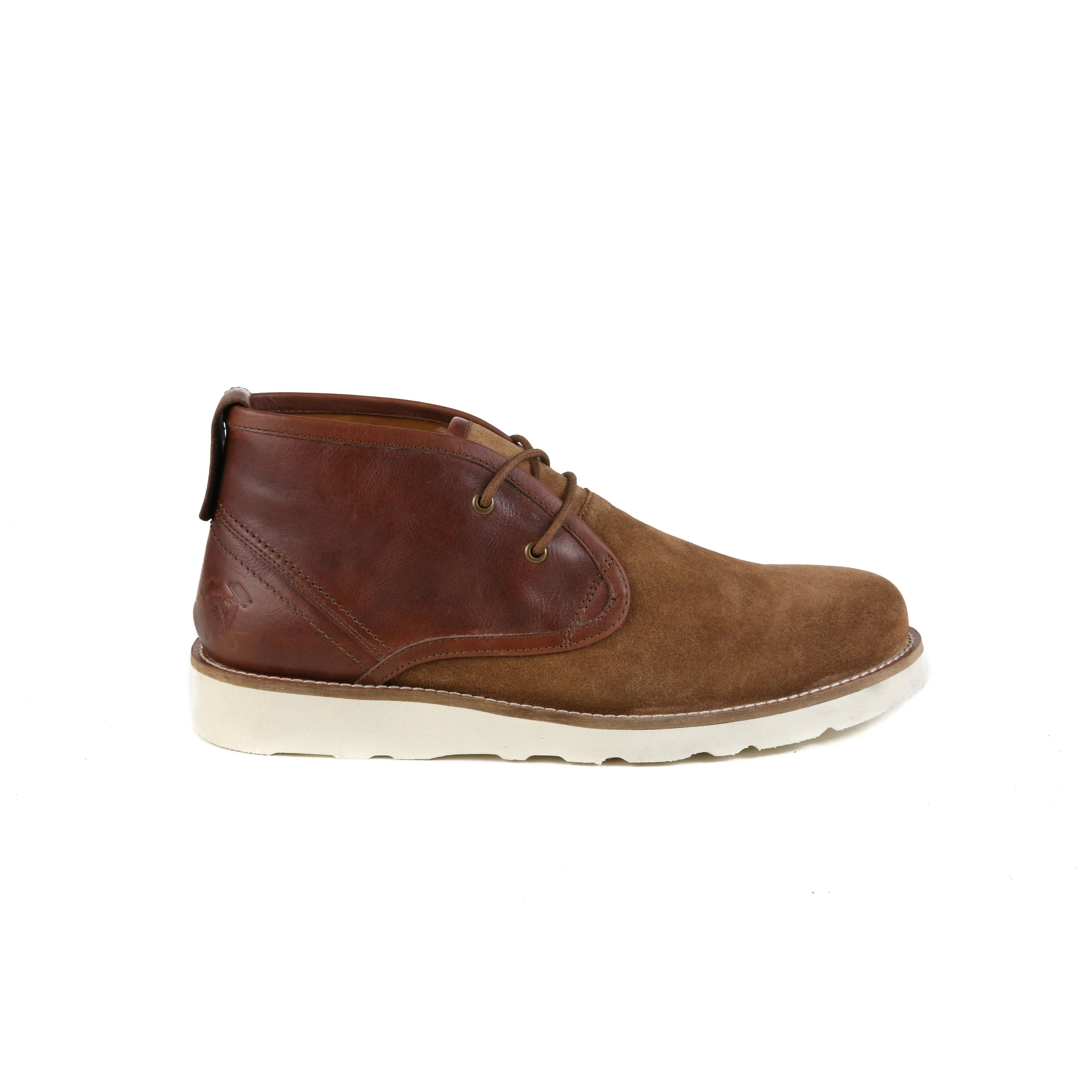 The Nolan | Cognac