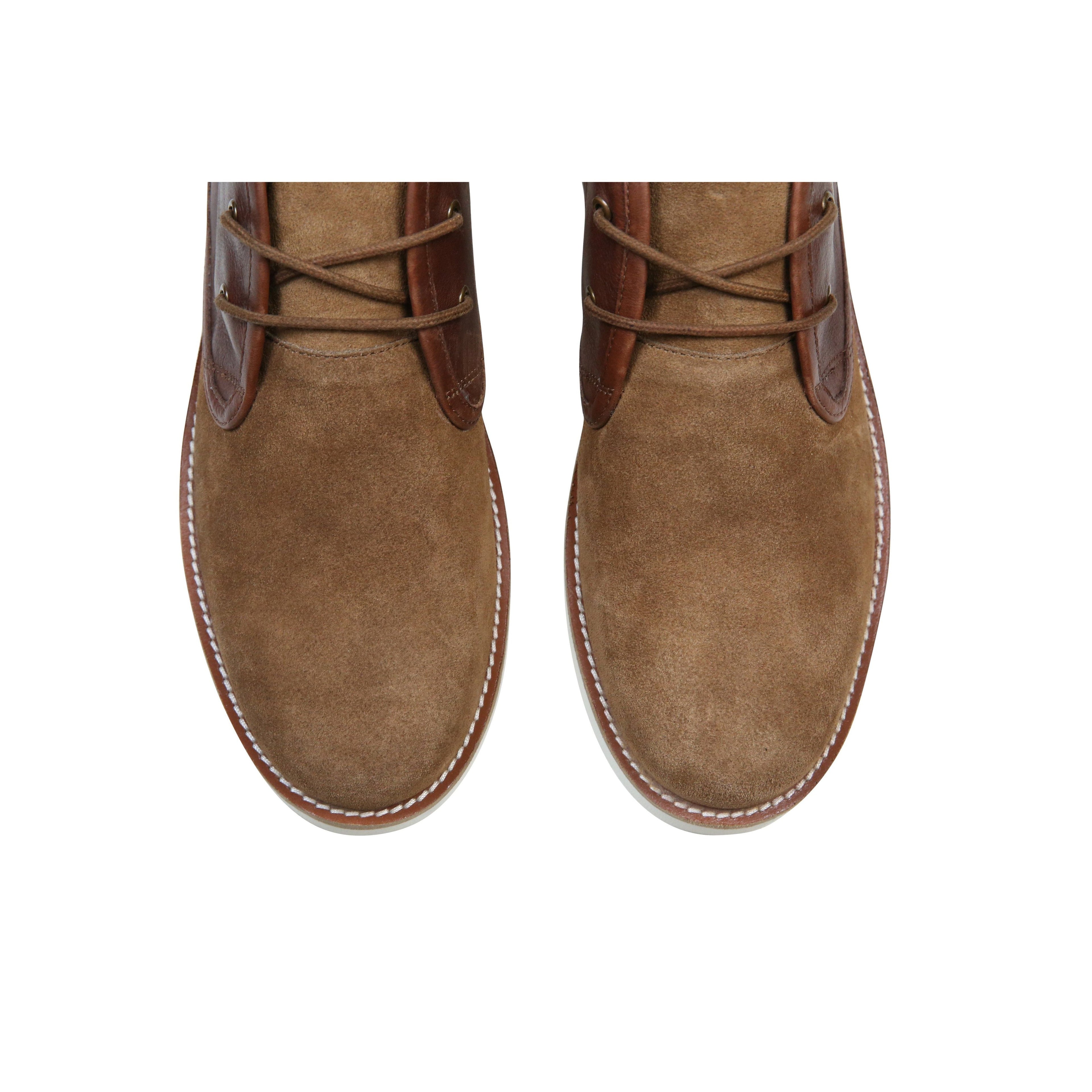 The Nolan | Cognac