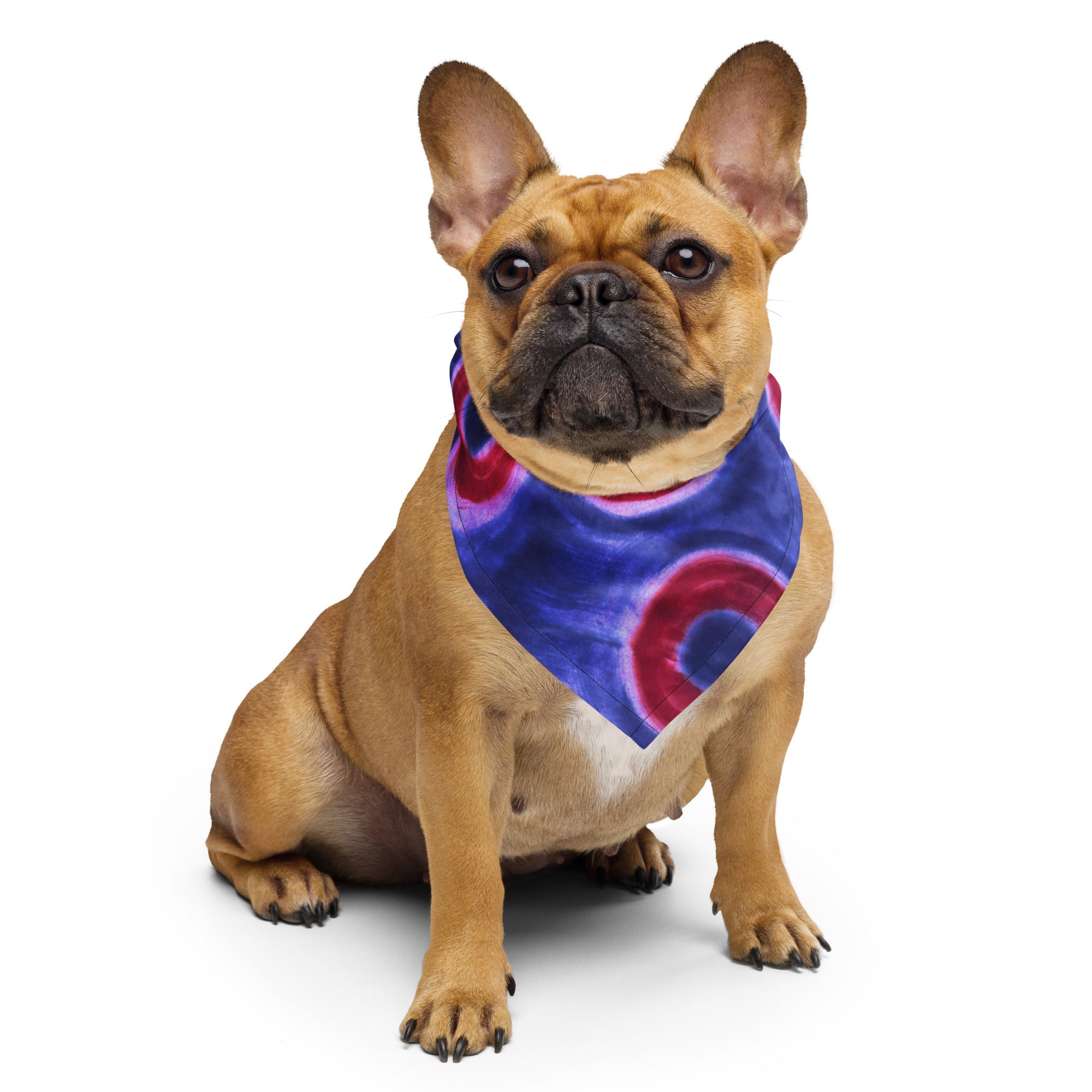 Phish Donuts Bandana